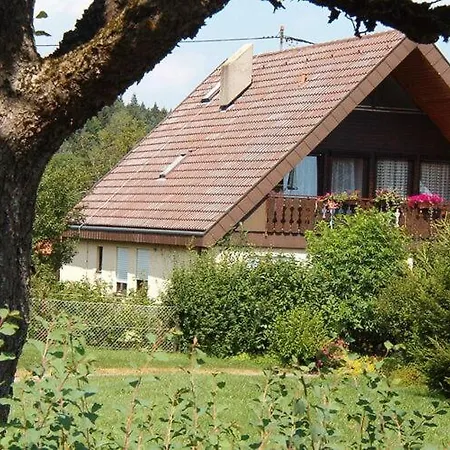 With Balcony In The Black Forest 公寓 Niedereschach