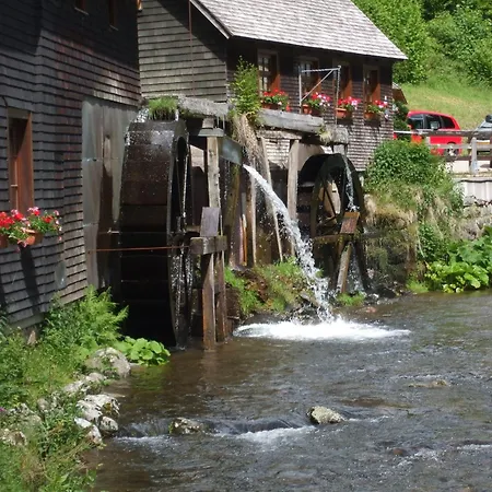 Im Kappeler Wald * Niedereschach