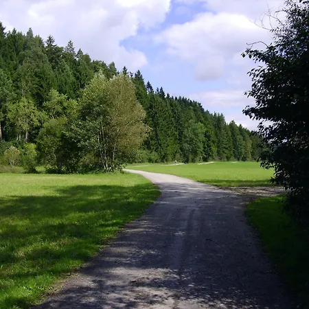 Im Kappeler Wald