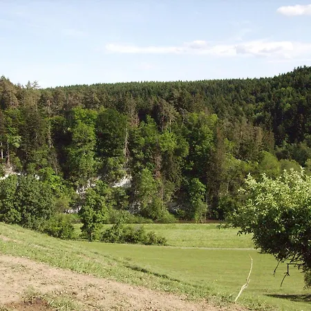 Im Kappeler Wald