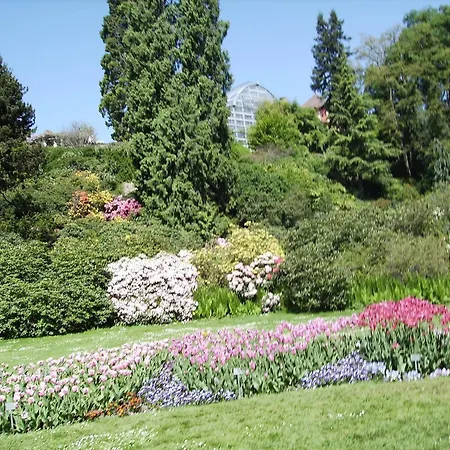 Im Kappeler Wald דירה